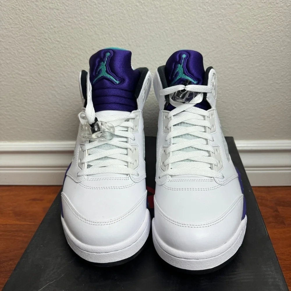 Jordan 5 Grape Retro 2013 Size 10.5